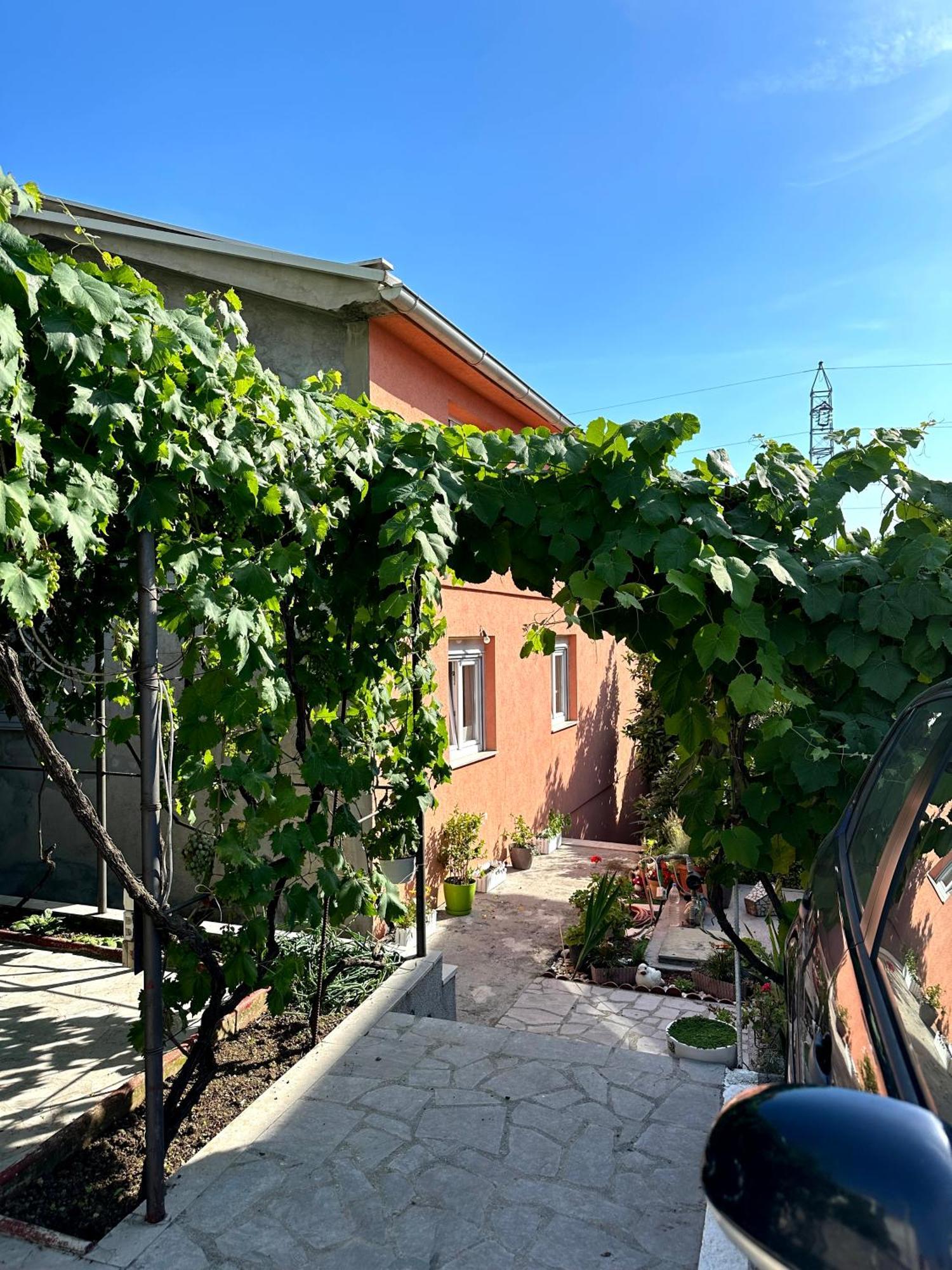 Ninic Family Apartments Tivat Exterior photo
